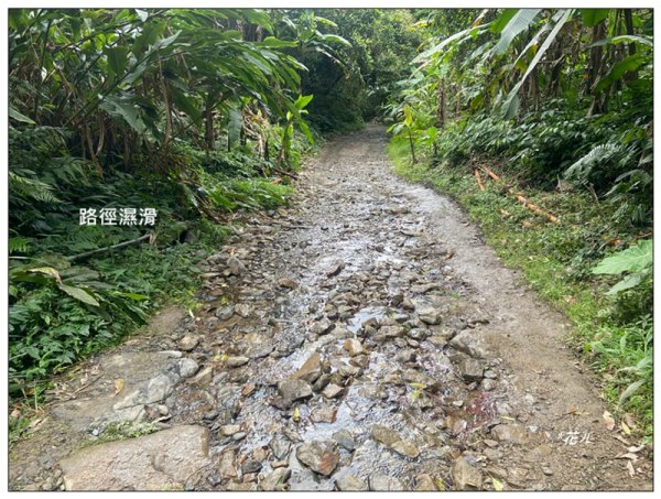 冷埤、粗坑山、血藤之旅3020365