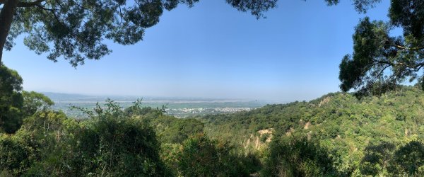 20250322南投松柏坑山-大棚山2745856