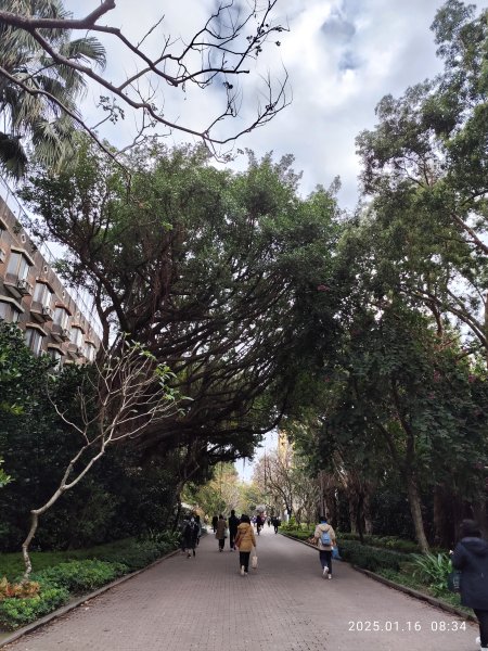 4-1 國立臺灣大學校園巡禮2691864