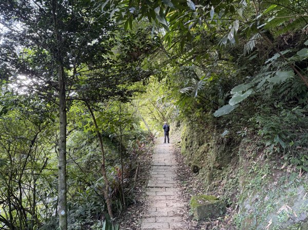 [淡蘭古道] 2026_0315 南路第二段_烏塗溪步道3016689