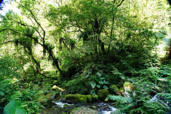 新北 烏來 波露南山3036009