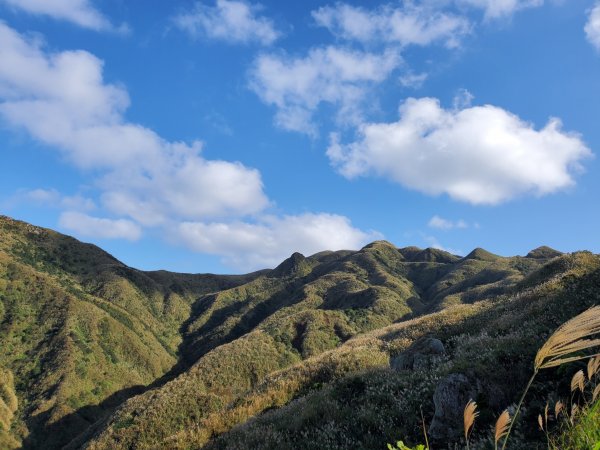 阿興阿賢秋芒宅急便（無耳茶壺山、半屏山、燦光寮山）+哈巴狗岩738439