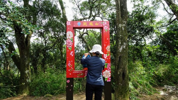 今天，我想來點飛鳳山，叮咚。1142053