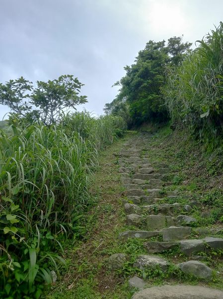 茶壺山步道, 燦光寮山,黃金神社 330563