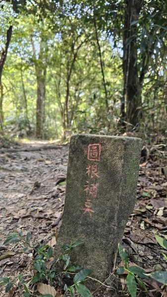 【赤腳闖魔王，好神啊！💪】第21次下尾寮山⛰️。沒事來走就對了💪💪3052421