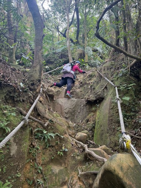 銀河洞越嶺貓空-新高麗坑山-銀獅縱走-猴山岳群峰+三條魚縱走2765366