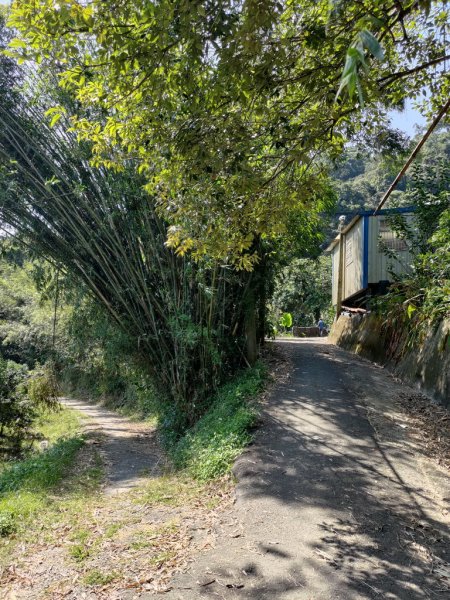 【新竹縣關西鎮】赤柯山步道2833165