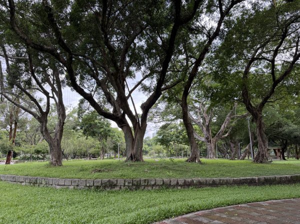 [2026臺北健走趣-06/50] 2026_0712_青年公園3098525