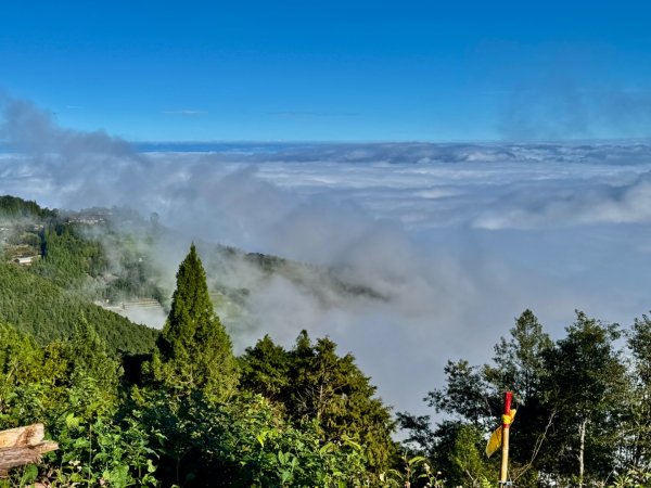 觀霧-榛山步道2925990