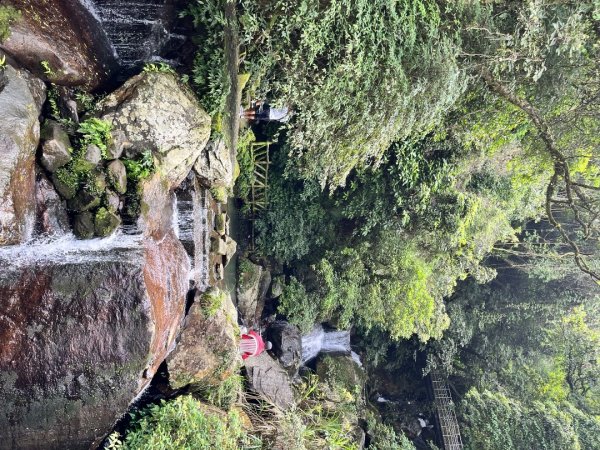 20250525_鳳凰山步道（南投小百岳）2855894