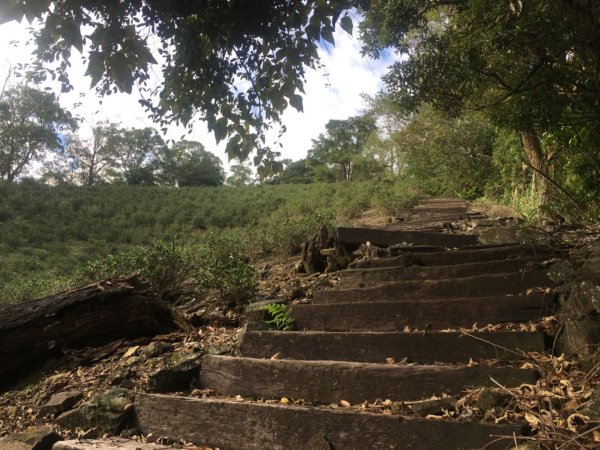 六寮崙山、雞罩山、白雞山8字走2371102