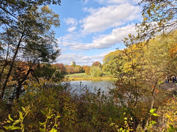 [紐約馬之行-13] 2025_1101 中央公園-眺望台城堡2945187