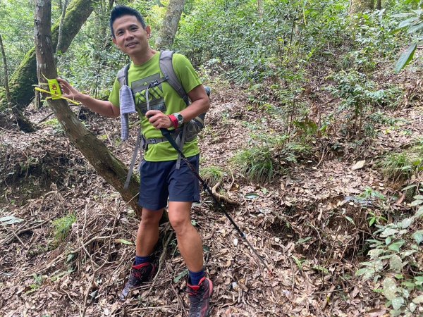 南東眼山.夢谷瀑布【好像是中級山探勘路線的荒山野嶺】2630634