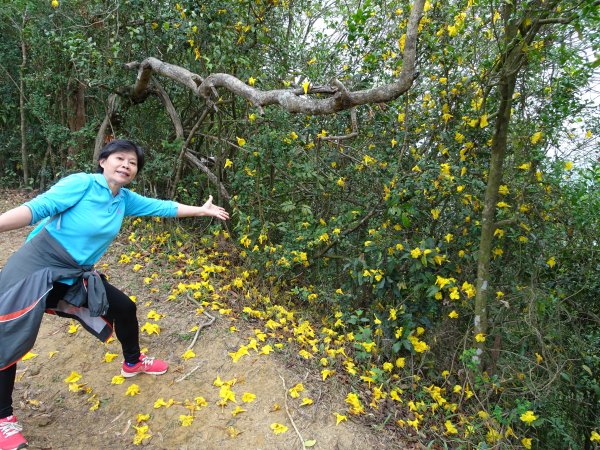 台灣小百岳第72座高雄旗山旗尾山之三角點551174