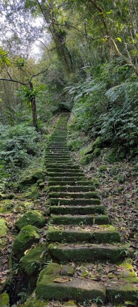 2022 3/9 孝子山登山步道1636944