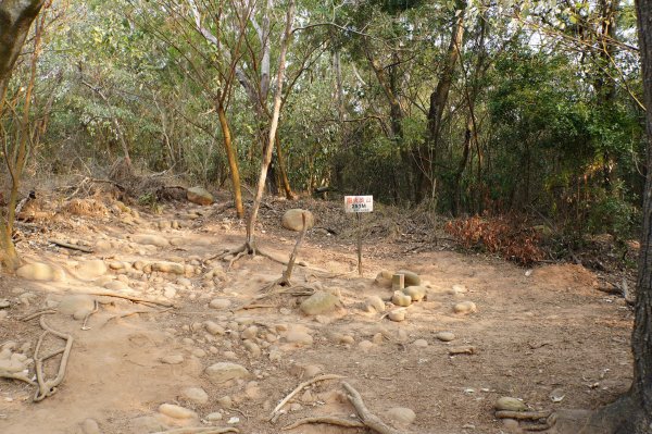 苗栗 三義 火炎山、南火炎山3020863