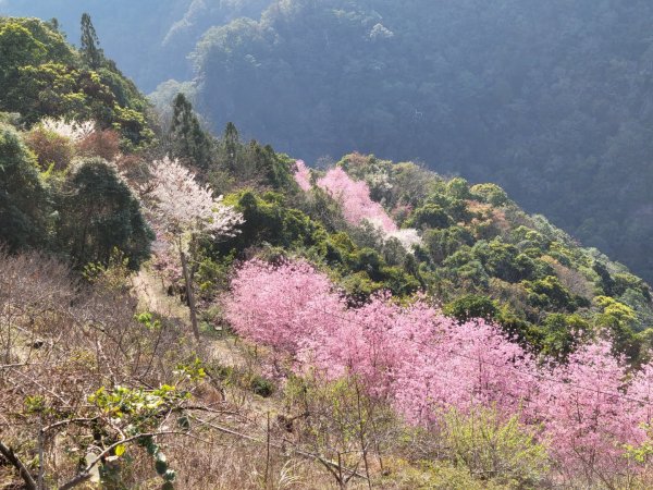 霞喀羅古道全段順登石鹿大山1291795