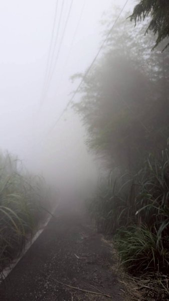 集集大山步道2886271