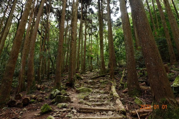 苗栗 南庄 加里山1979961