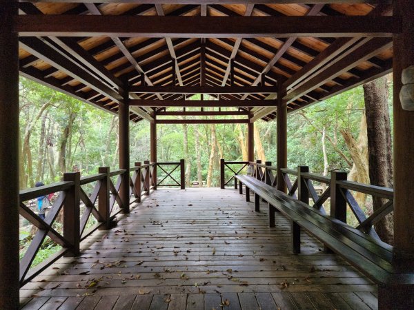 小百岳No.80⛰里龍山2776347