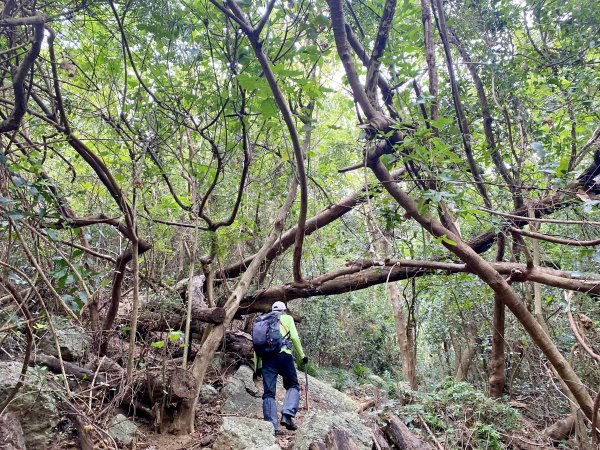 屏東牡丹高士神社、高士山、石門山步道輕鬆走    2021/11/281532904