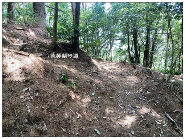 東卯山、東卯山西峰、東卯山西南峰 連走2932845