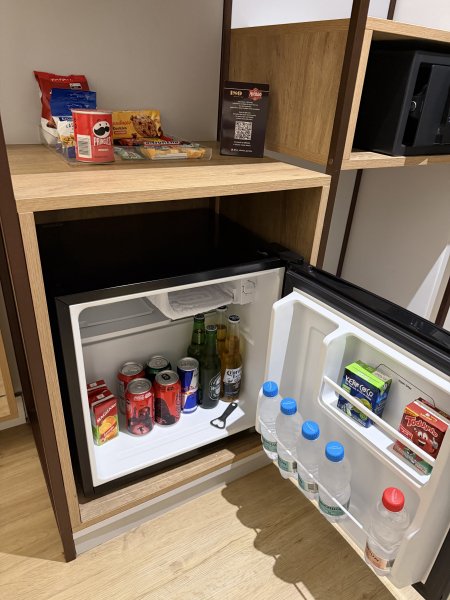 [紐約馬之行-65] 2025_1115 阿根廷飛巴西2954820