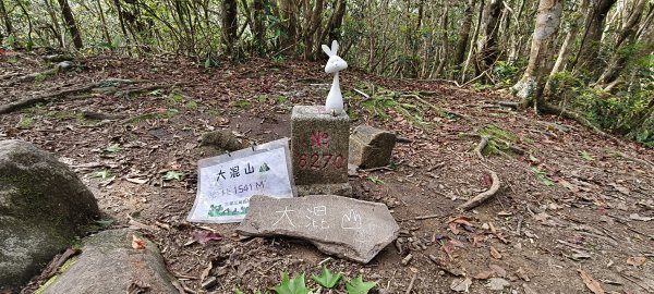 2025/05/01-凌空廊道上李崠山2775478