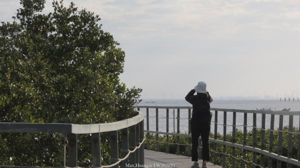 《彰化》海空夕照｜王功燈塔及芳苑海空步道健行賞冬候鳥202601102980326