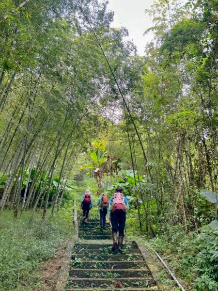 挑竹古道6號走小半天6連峰出孟宗竹林古戰場3108798