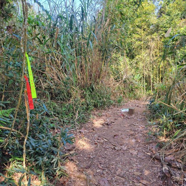 馬那邦山、細道邦山（小百岳）2435585