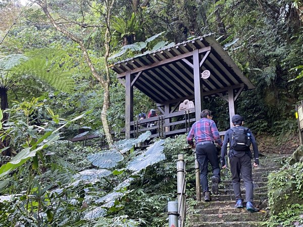 2025微笑山線大縱走尋寶集章任務-Ep.04【天上山系】望月亭桐花段｜石門內尖山東峰 ×石門內尖山2979083