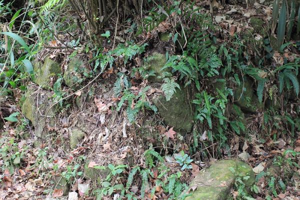 馬那邦山(珠湖線來回)375037