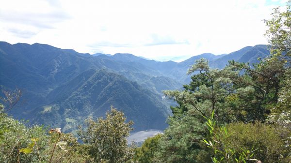 東卯山步道 - 谷關七雄老五 2016 12 03220660