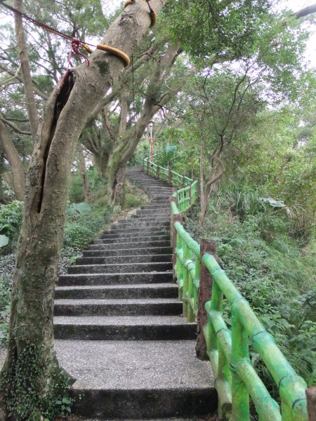 竹東森林公園546383
