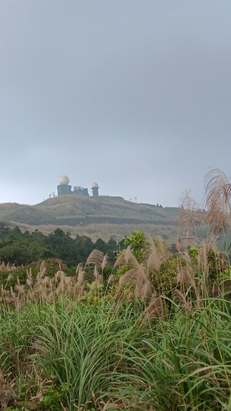 小百岳:五分山2361141