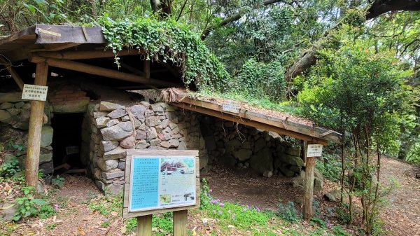 中正山環型步道2109288