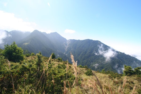 高雄 桃源 台東 海端 庫哈諾辛山 關山嶺山2832186