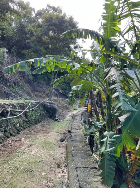 帕米爾公園1887072