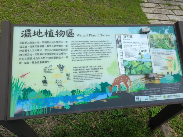 2024.06.09－墾丁國家公園2523902