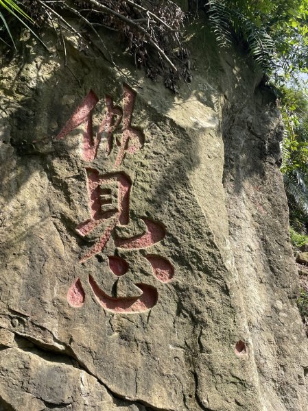 【二格山系】和美山螢火蟲2852566