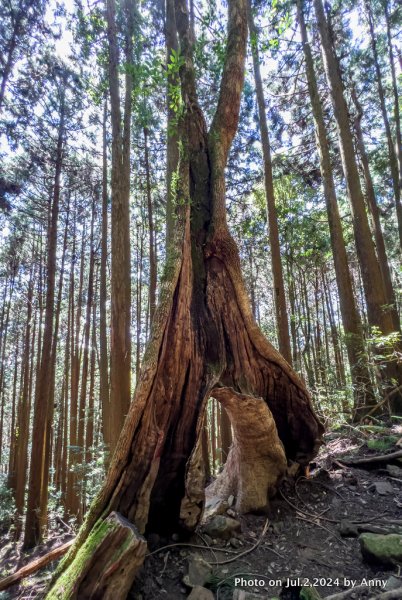 加里山好精彩2547365