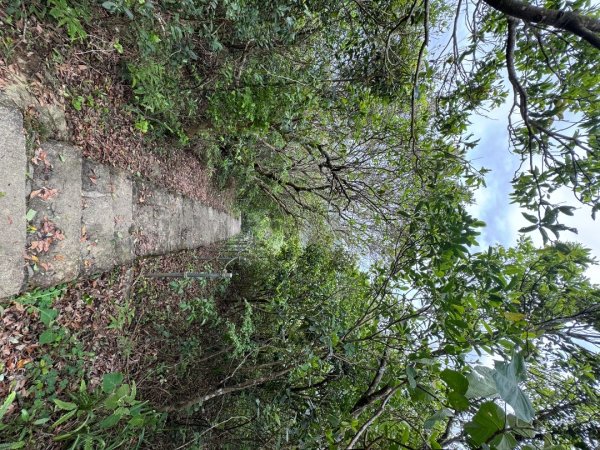 2025/04/13 小百岳第008「大崙頭山」2760267