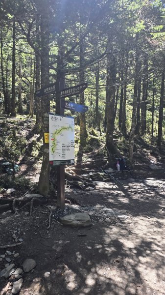 20240629-0630 嘉明湖步道+三叉山+向陽山2619579