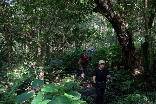 新竹尖石鄉 煤源社區上李棟山、大混山出凌空廊道2550498