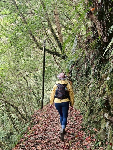 霞喀羅古道全線解鎖（石鹿到養老）2961041