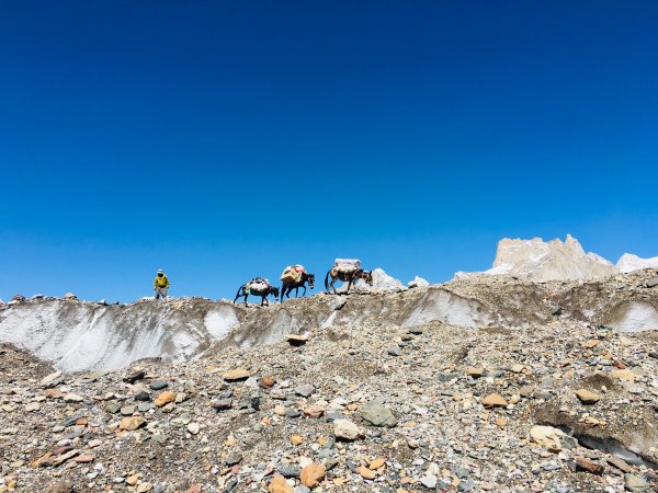 喀喇昆侖山K2基地營健行647966