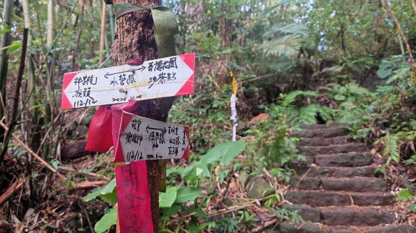 台北狗殷勤古道上平菁42巷下溪山古道賞櫻行2704894