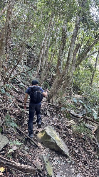 崩潰陡上的水雲三星～鳥嘴山（上島山）2095291