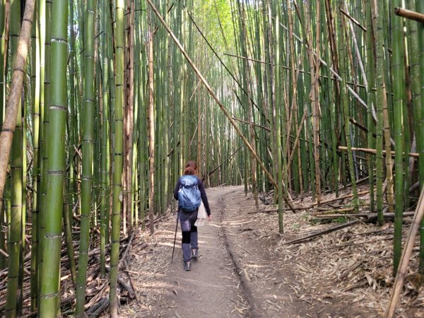 霞喀羅古道全段順登石鹿大山1291787